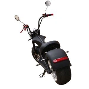 Citycoco Eléctrico para Adultos